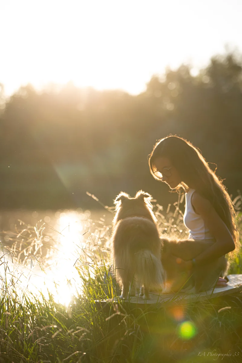 Jeune femme assise dans l'herbe au bord de l'eau avec son chien, éclairés par la lumière dorée du soleil couchant